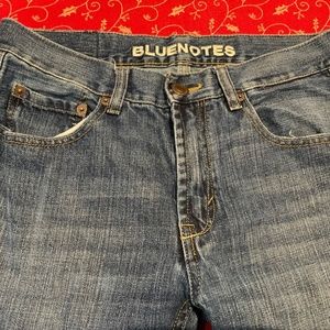 BlueNotes Mens Blue Jeans 30 x 32 Bootcut
